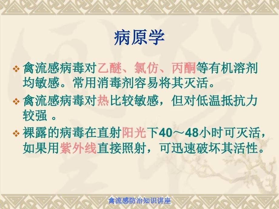 讲座2人禽流感防治知识讲座课件_第5页