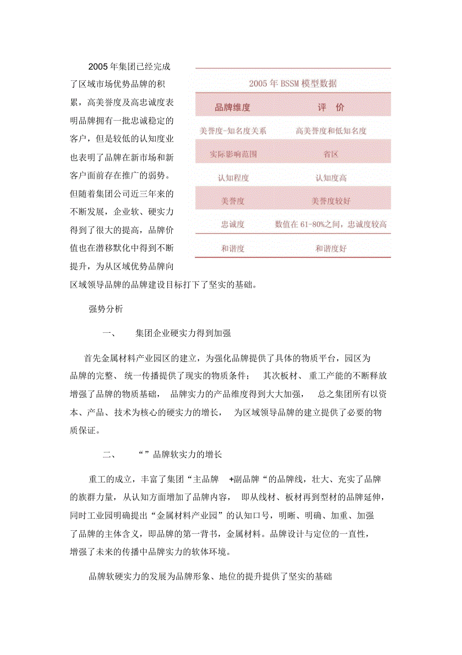 集团品牌建设规划_第4页