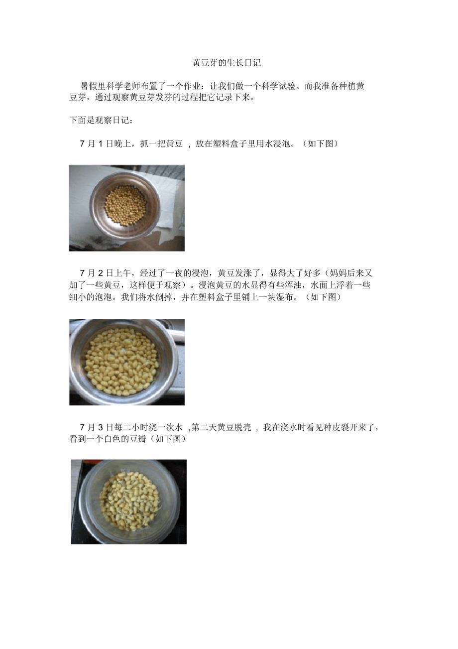 黄豆芽的观察日记_第1页