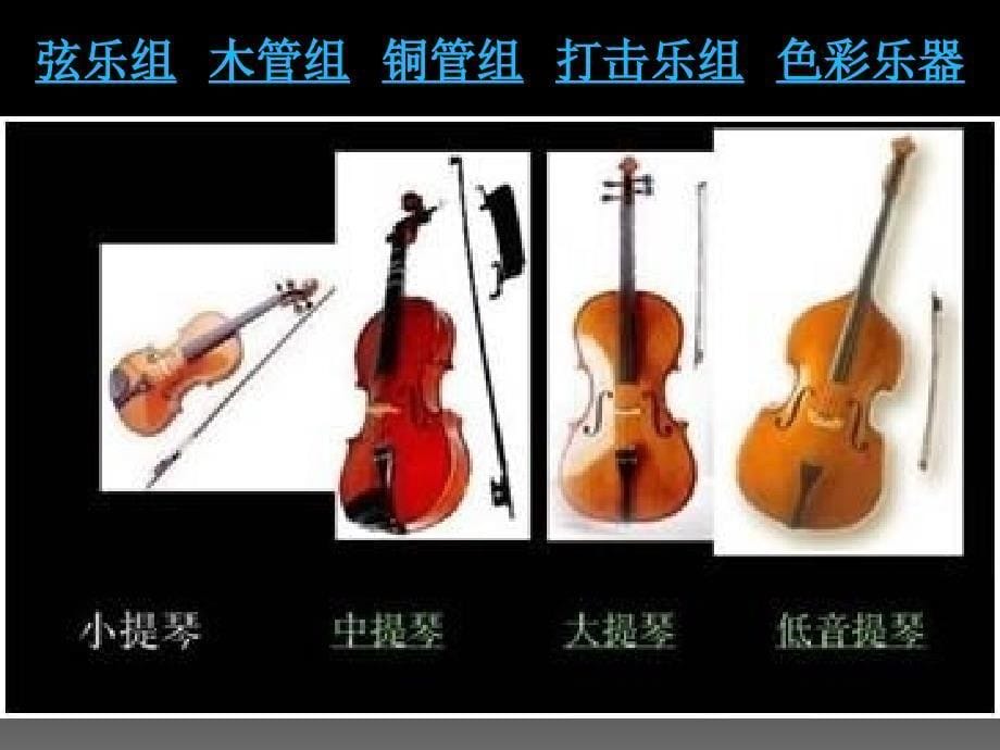 《认识乐器课件》初中音乐人教2001课标版八年级下册课件_6_第5页