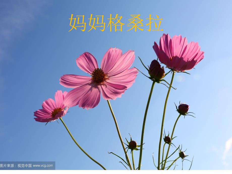 小学音乐人音版《六年级上册演唱妈妈格桑啦》ppt课件（1）_第1页