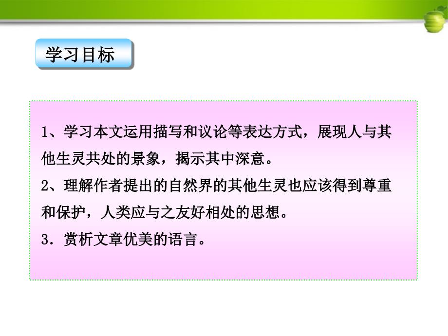 金榜学案八年级语文上册第22课《都市精灵》课件 苏教版_第4页