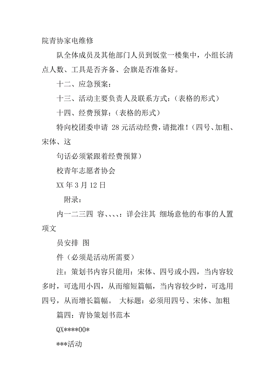 青协策划书格式_第4页