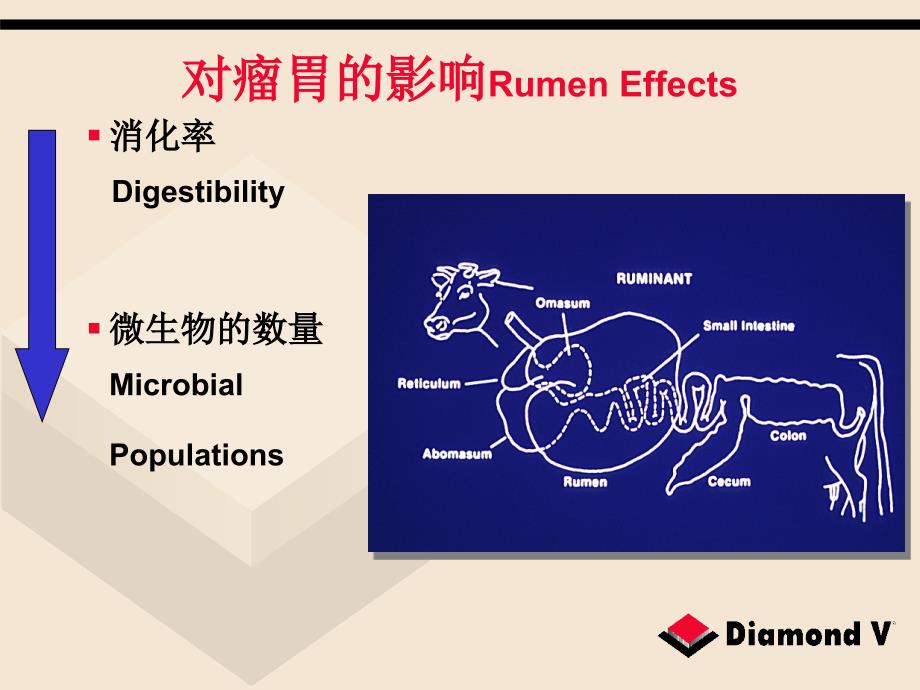 热应激期间达农威益康XP的应用_第4页