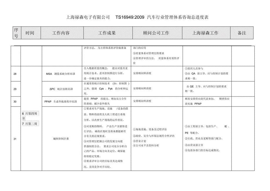 TS详细推行计划方案(中文)_第5页