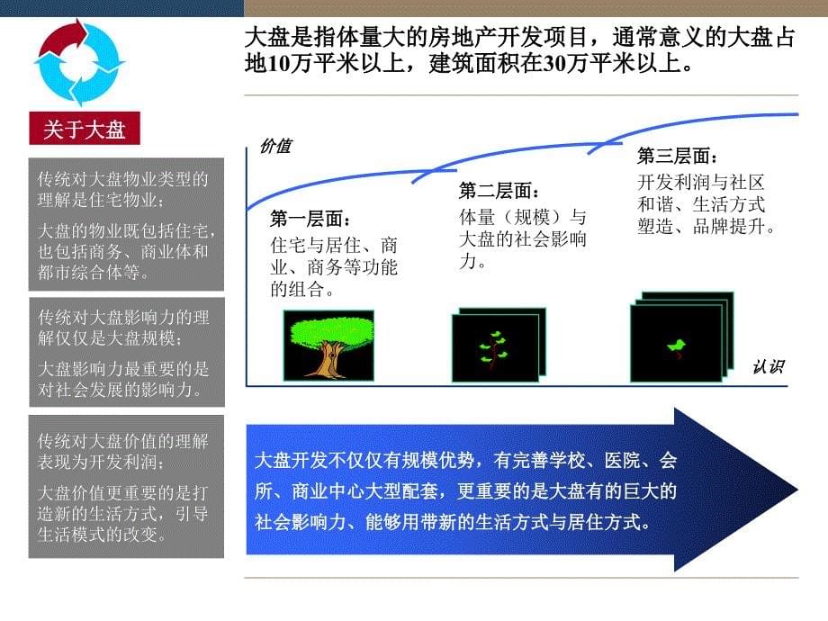 大盘开发模式与策略思考_第5页