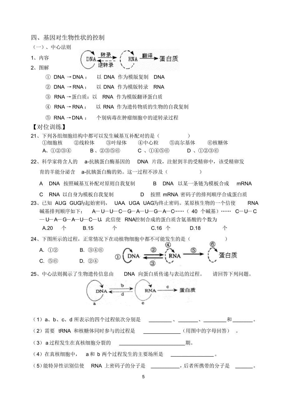 高考生物一轮复习——基因的表达_第5页