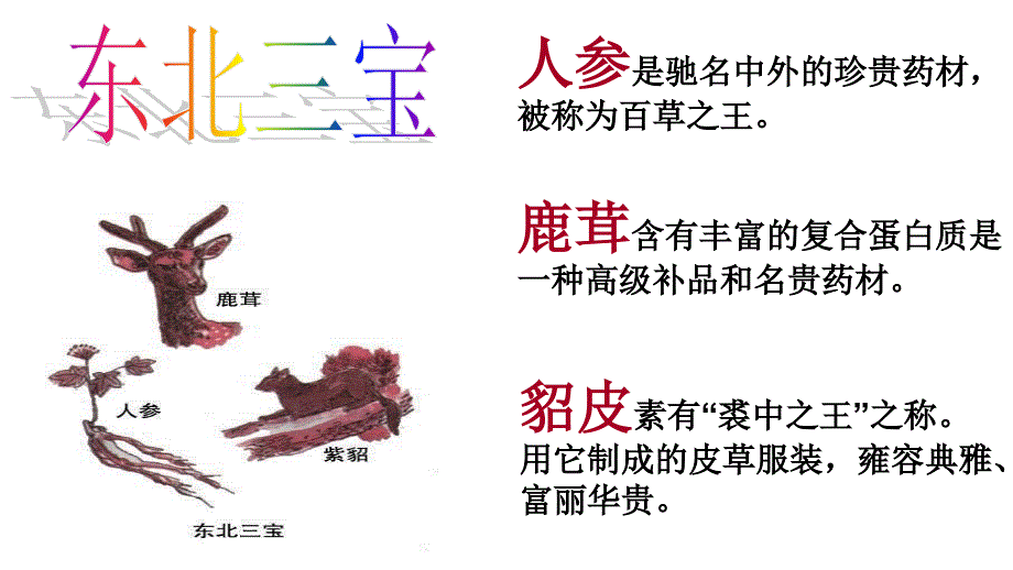 小学音乐人音版《三年级上册小看戏》ppt课件_第4页