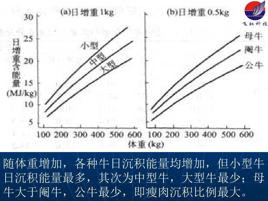 肉羊培训_第5页