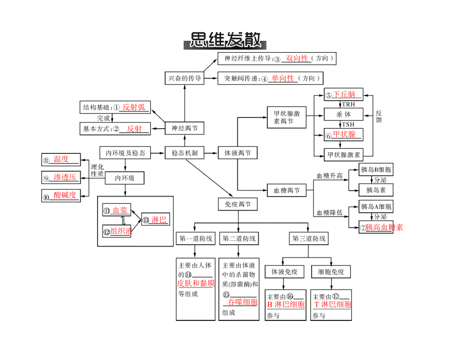 添添课件库 高三生物复习课件专题六 第1讲 人和动物生命活动的调节方式及人体的稳态_第3页