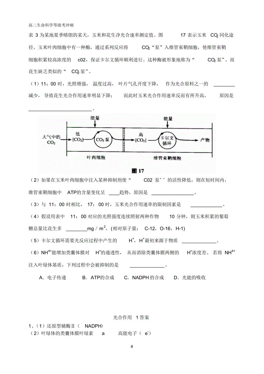 高考生物专题《光合作用1》_第4页