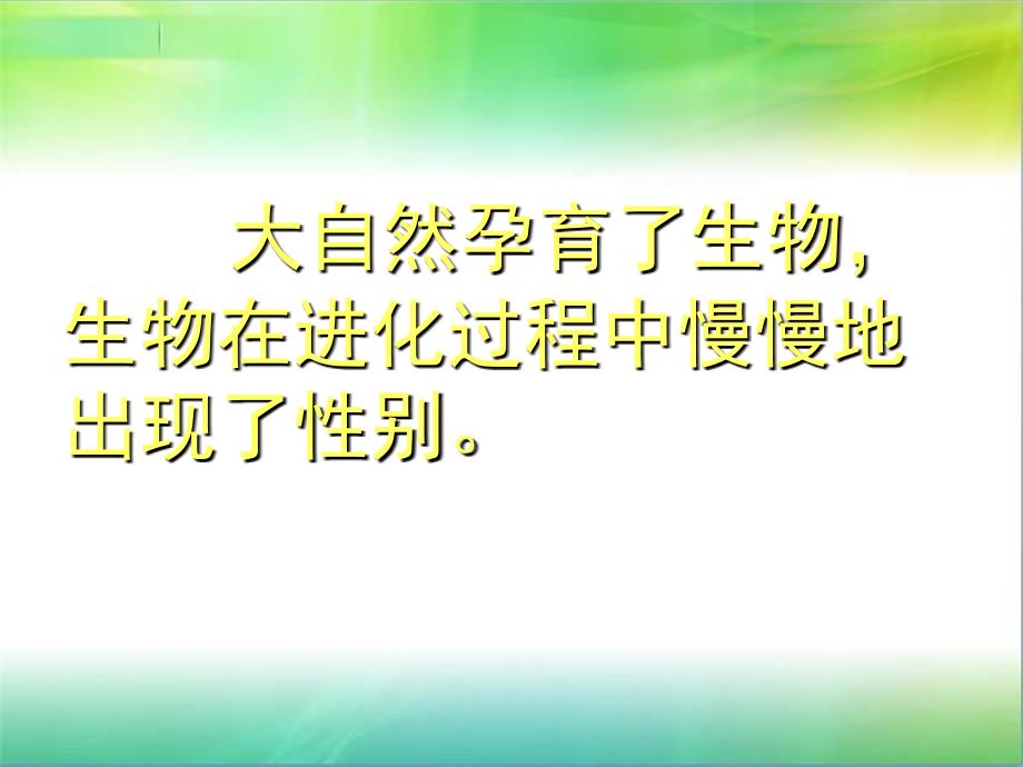 锦小综合实践先有公鸡还是先有母鸡课件_第3页