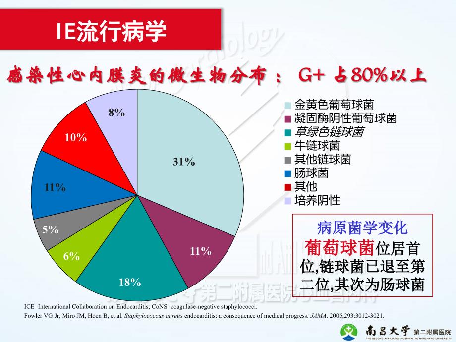 2015ESC-感染性心内膜炎指南_第4页