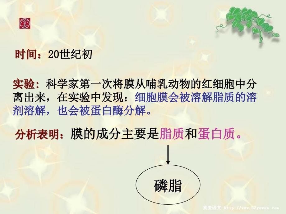 高中生物课件必修1第4章第2节生物膜的流动镶嵌模型_第5页