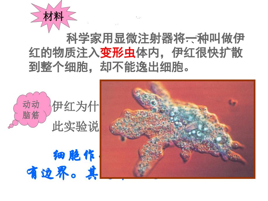 高中生物课件必修1第3章第1节细胞膜——系统的边界_第1页