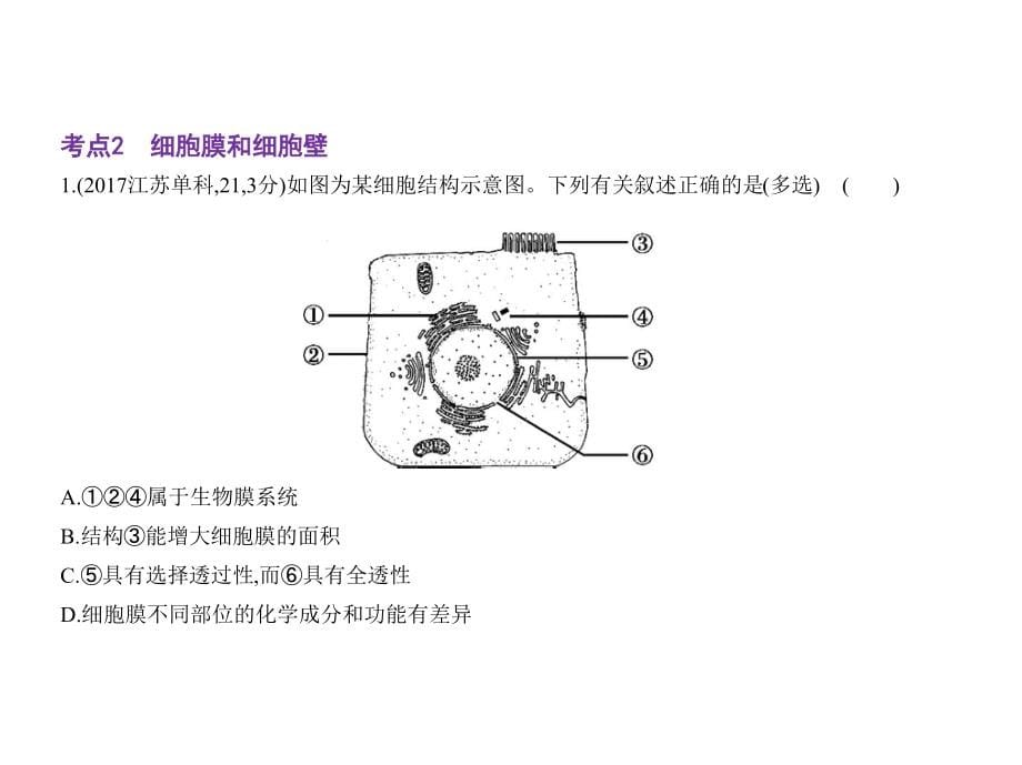 2019版高考生物（5年高考+3年模拟）精品课件江苏专版：专题2　细胞的结构和功能（共72张ppt） _第5页