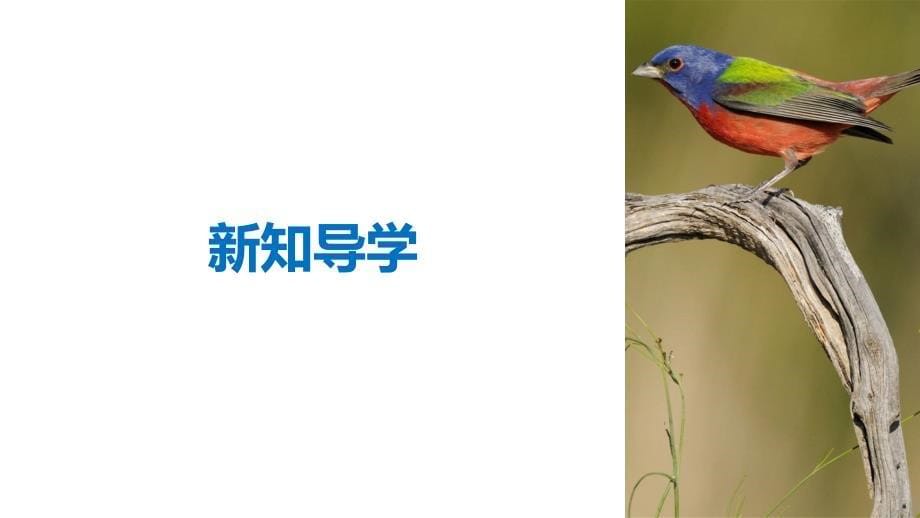 2018-2019版新学案生物同步必修一浙江专用版课件：第一章 细胞的分子组成 第三节 第3课时 _第5页