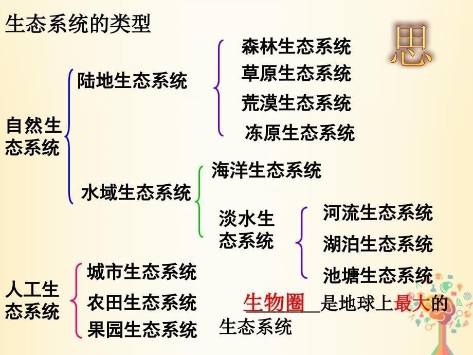 江西省吉安县高中生物 第五章 生态系统及其稳定性 5.1 生态系统的结构课件 新人教版必修3_第5页