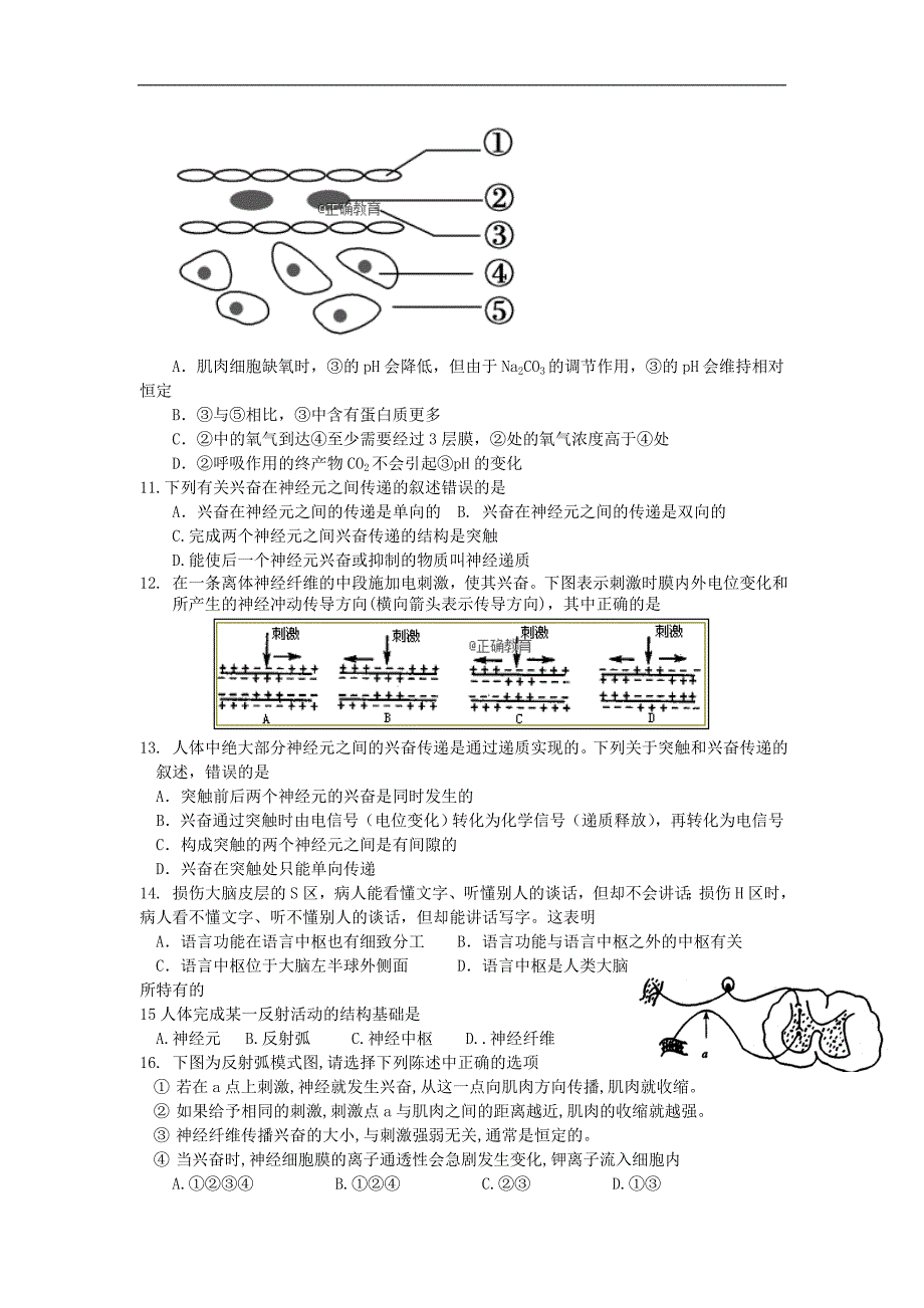 河北省石家庄市行唐县三中正定县三中正定县七中2016_2017学年高二生物9月联考试题_第2页