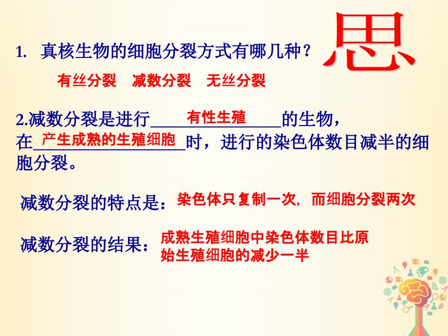 江西省吉安县高中生物 第二章 基因和染色体的关系 2.1 减数分裂与受精作用（第1-2课时）课件 新人教版必修2_第4页