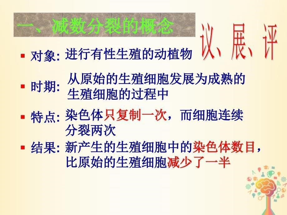 江西省吉安县高中生物 第二章 基因和染色体的关系 2.1 减数分裂与受精作用（第1-2课时）课件 新人教版必修2_第5页