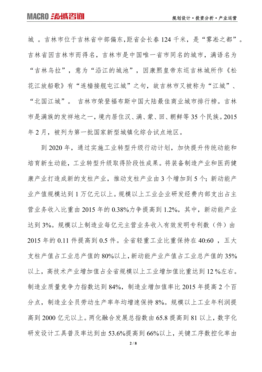 吉林项目可行性研究报告及产业规划设计_第2页