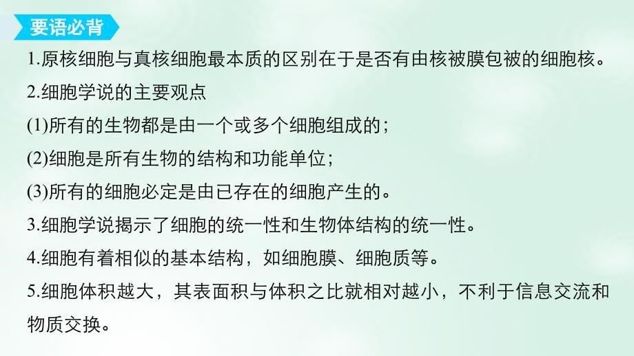 2018_2019版高中生物第二章细胞的结构章末总结课件浙科版必修_第5页