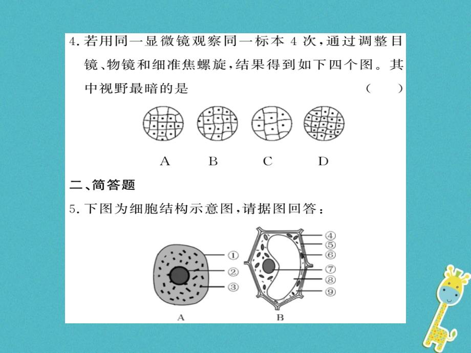 2018年七年级生物上册期末专题复习读图识图题习题课件新版新人教版_第4页