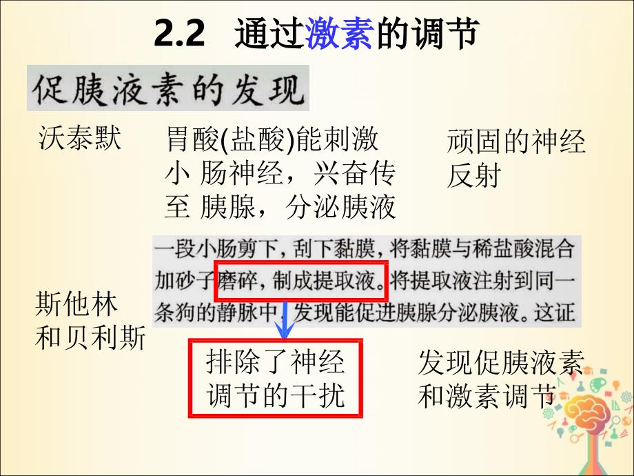 江西省南昌县高中生物 第二章 动物和人体生命活动的调节 2.2 通过激素的调节课件 新人教版必修3_第1页