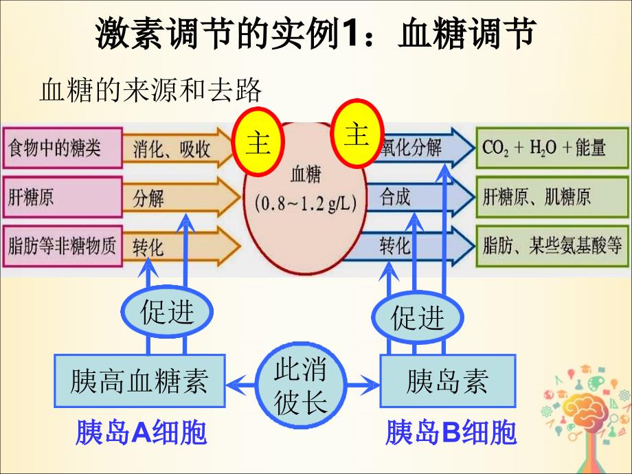 江西省南昌县高中生物 第二章 动物和人体生命活动的调节 2.2 通过激素的调节课件 新人教版必修3_第4页