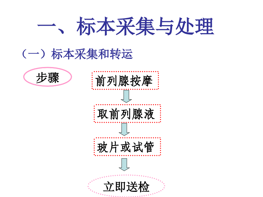 第五节前列腺液检验-课件_第4页