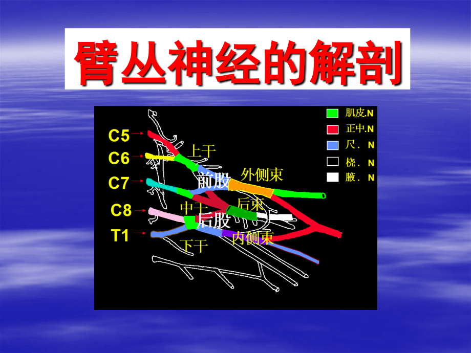 臂丛神经损伤诊治(六院)_第3页