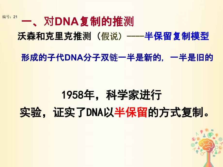 高中生物 第三章 基因的本质 第3节 dna的复制3课件 新人教版必修2_第3页