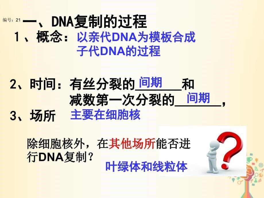 高中生物 第三章 基因的本质 第3节 dna的复制3课件 新人教版必修2_第5页