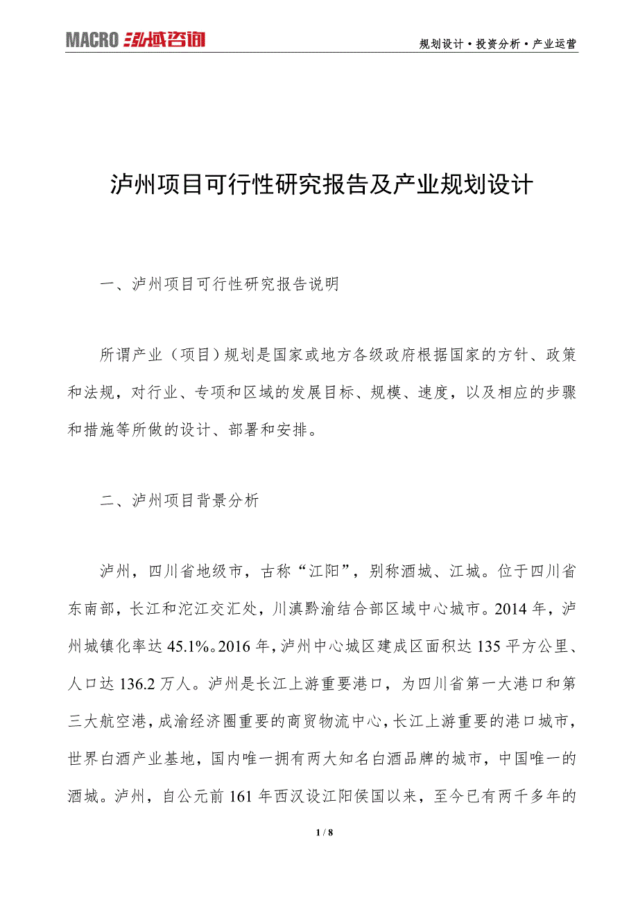 泸州项目可行性研究报告及产业规划设计_第1页