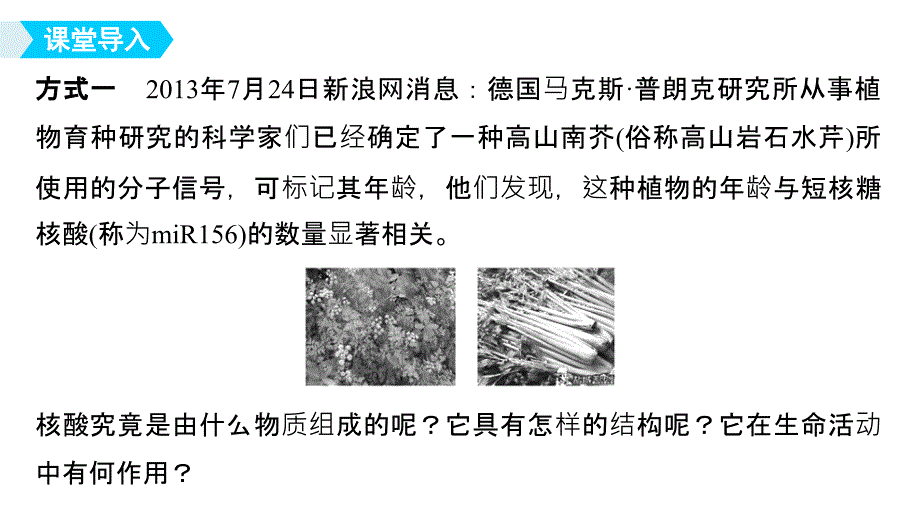 2018-2019版新学案生物同步必修一苏教版课件：第二章 细胞的化学组成 第二节 第3课时 _第3页