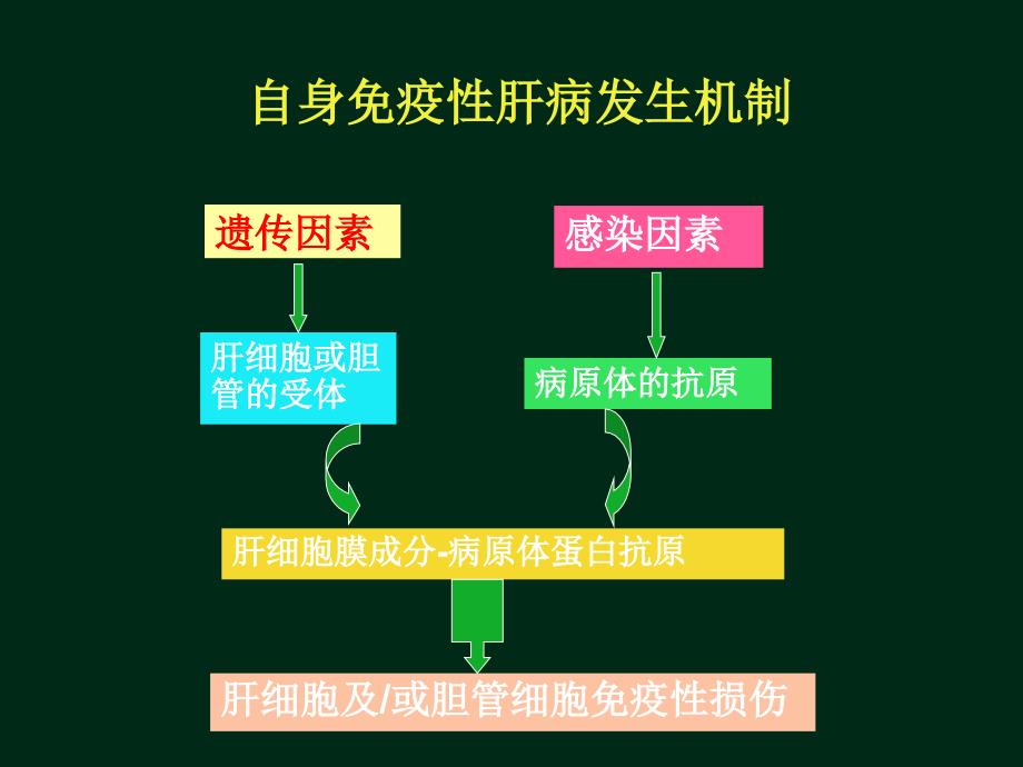 常见非病毒学肝病诊断与鉴别诊断_第4页