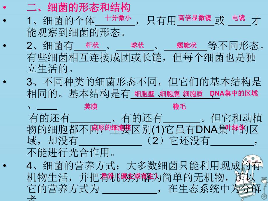 湖南省桑植县八年级生物上册 5.4.2细菌课件1 （新版）新人教版_第4页