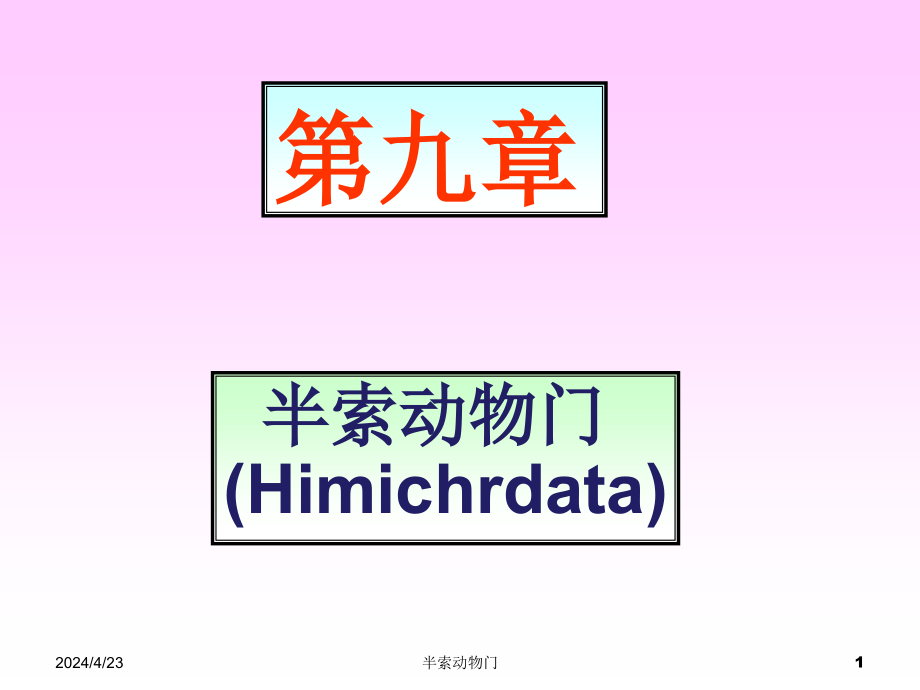 半索动物门（himichordata）（含牙形石）课件_第1页