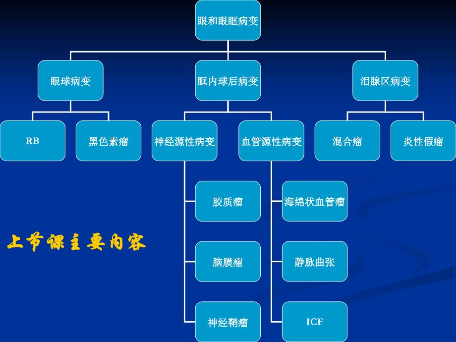 鼻和副鼻窦概要课件_第2页