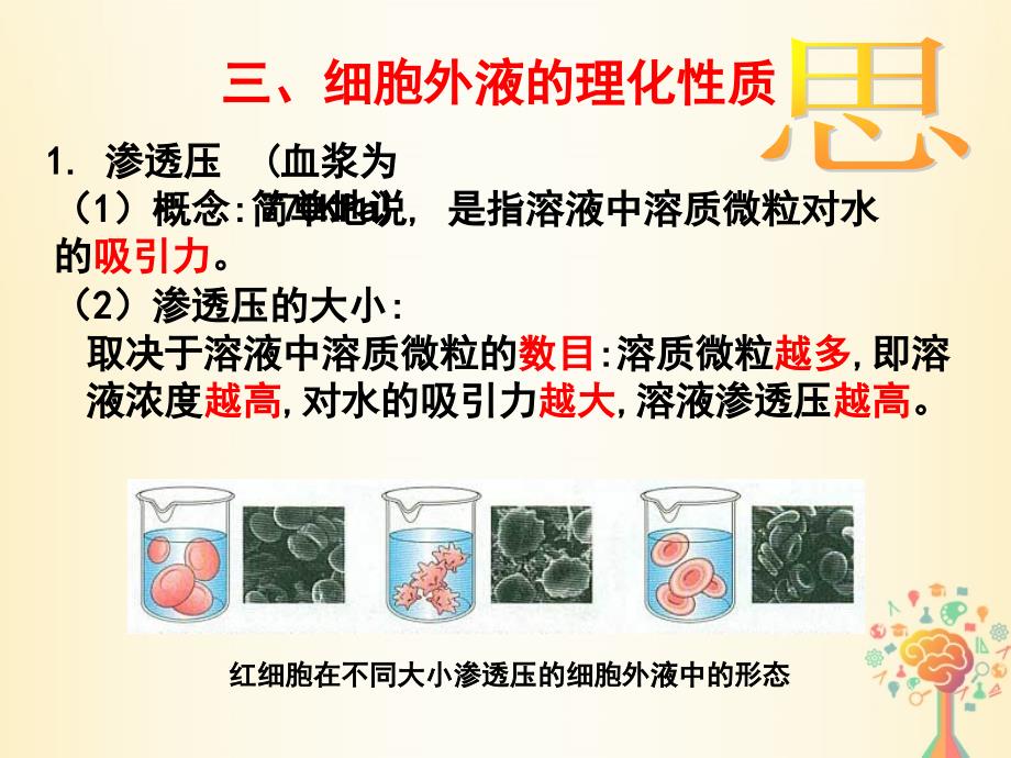 江西省吉安县高中生物 第一章 人体的内环境与稳态 1.1 细胞生活的环境（二）课件 新人教版必修3_第3页