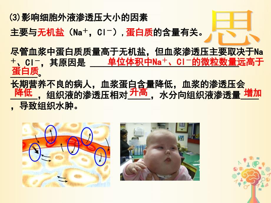 江西省吉安县高中生物 第一章 人体的内环境与稳态 1.1 细胞生活的环境（二）课件 新人教版必修3_第4页