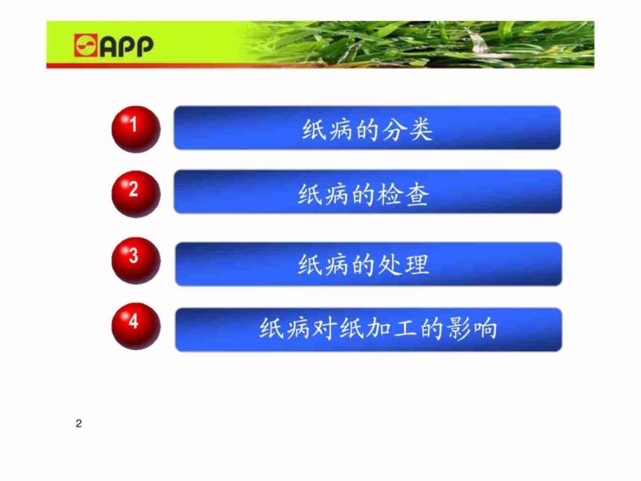 抄纸部内部培训之纸 病的检查 和处理课件_第2页