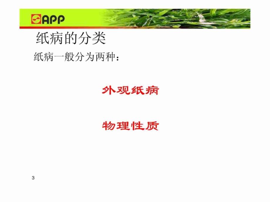 抄纸部内部培训之纸 病的检查 和处理课件_第3页