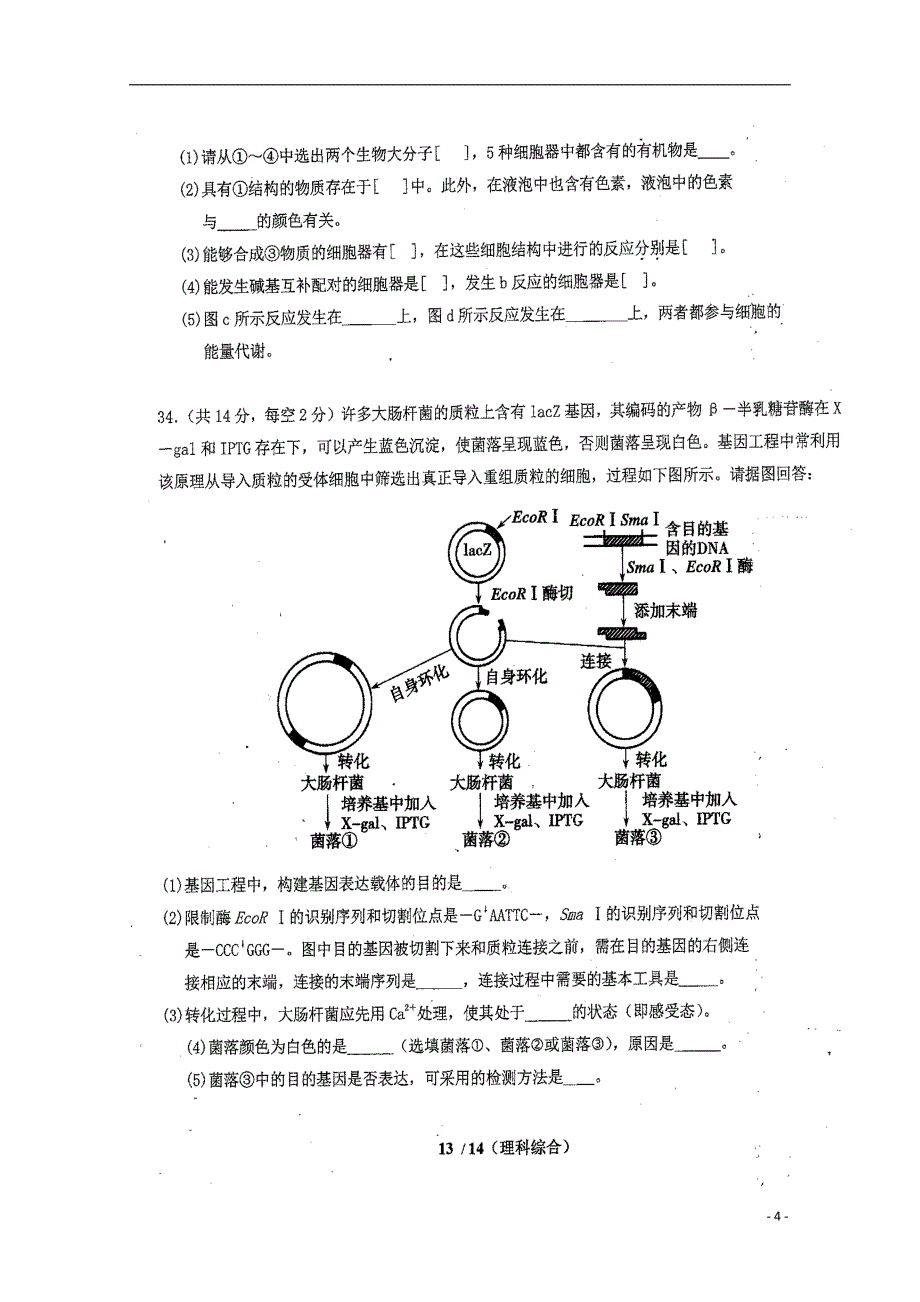 福建省2019届高三生物暑假第一次返校考试试题_第4页