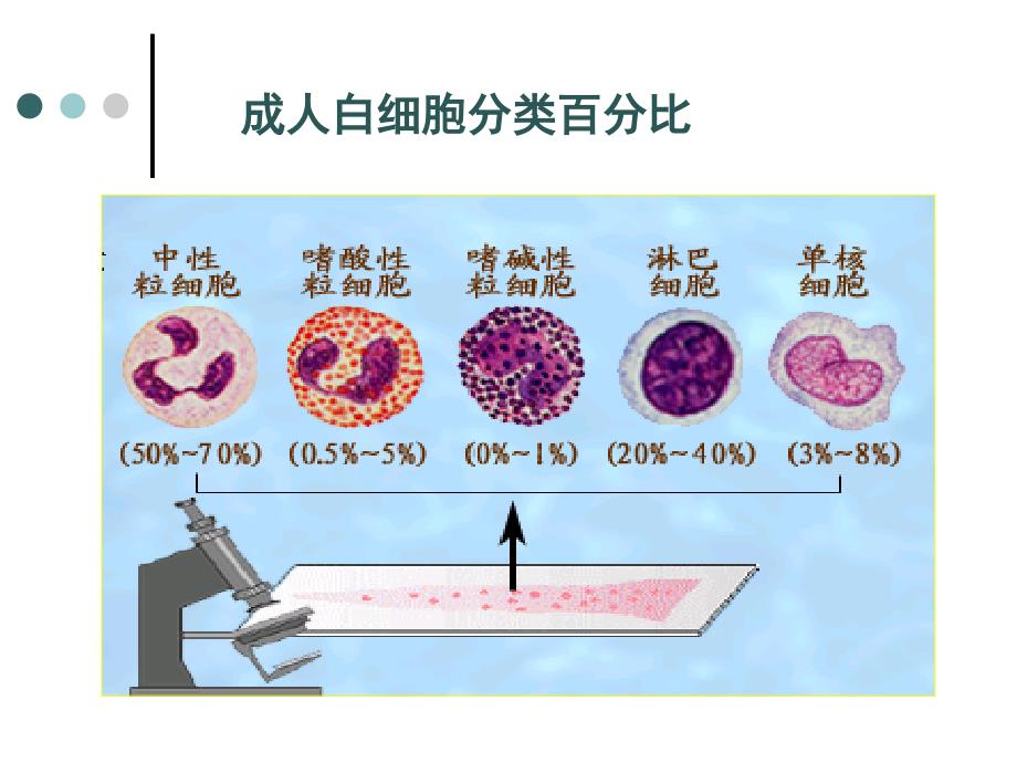 北京人和中医医院血液科白细胞中性粒细胞嗜酸性细胞及血小板介绍课件_第4页