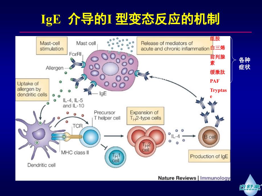 鼻用激素在的鼻部炎症性疾病中的应用进展压缩（可编辑）课件_第2页