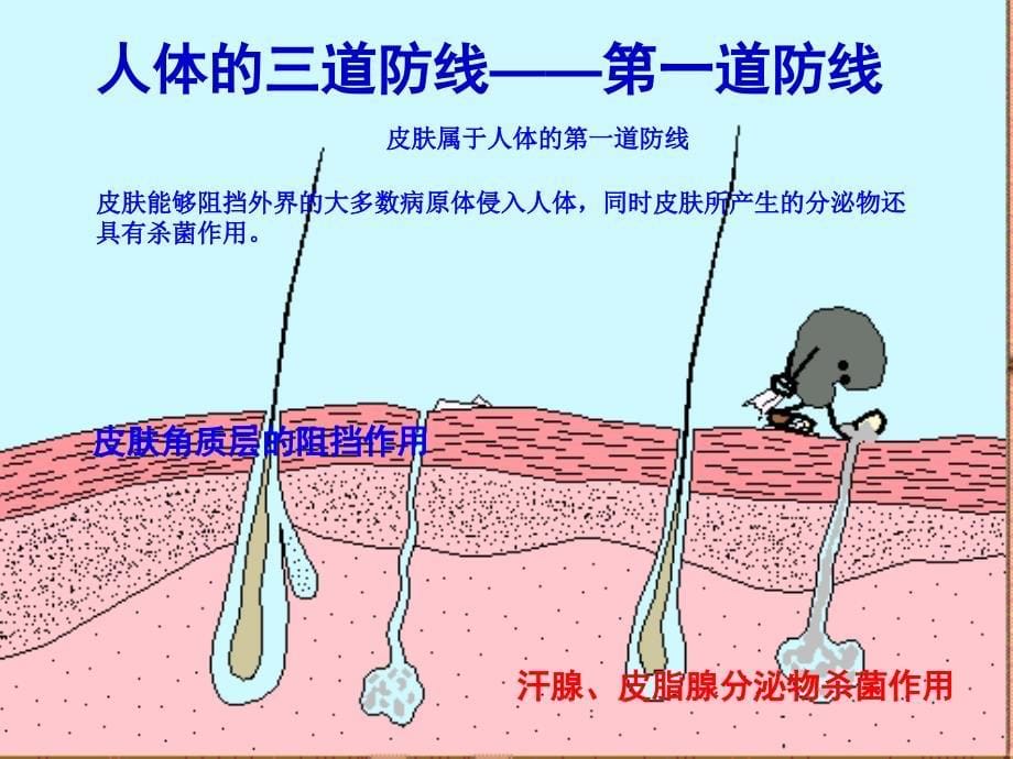 初中生物八年级下册《第二节免疫与计划免疫》ppt课件（1）（1）_第5页