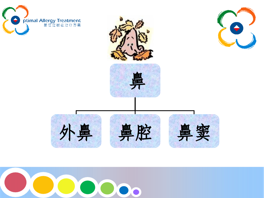 鼻科病人的护理课件_第3页