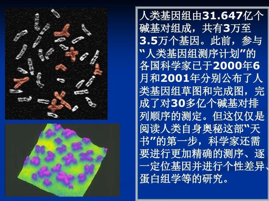 常见疾病病因与治疗方法第8章运动神经元病课件_第5页